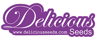 Delicious seeds